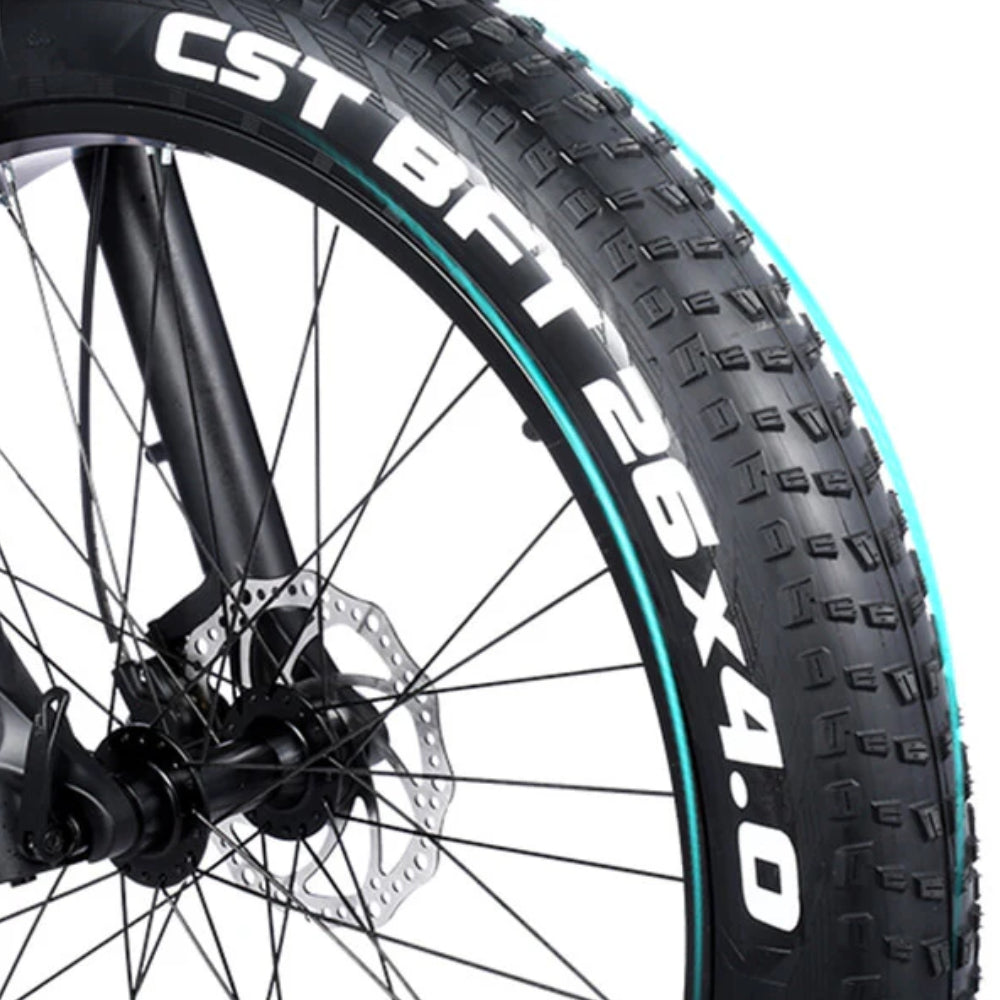 RANDRIDE 26x4.0 CST all terrain fat tire for electric bike, puncture resistant fat tires with strong grip for snow, sand, mud, beach and off road riding